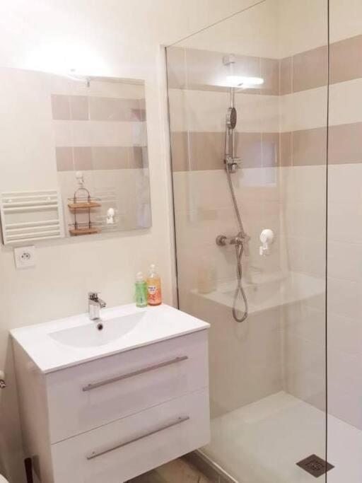 Appartamento Chez Beroy Morlaas Esterno foto